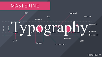 Anatomy of Typography: A Comprehensive Guide to Mastering Typography
